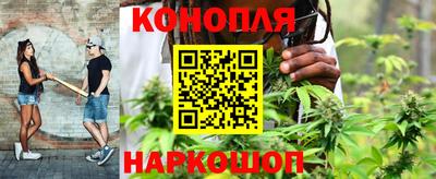 прущие грибы Уссурийск