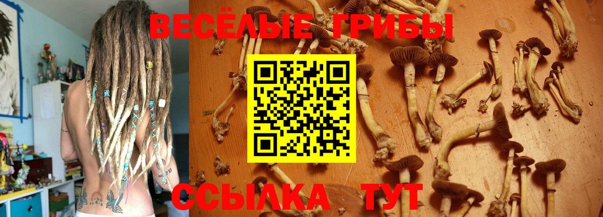 Псилоцибиновые грибы Psilocybe  Вход с VPN  Псилоцибиновые грибы Magic Shrooms  что такое   Междуреченск 